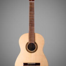 Guitar Model One