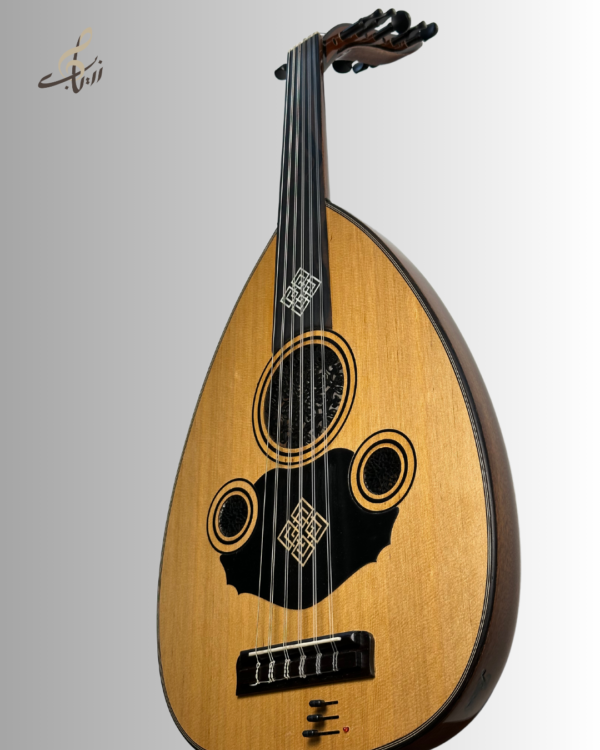 oud Electric - Image 2