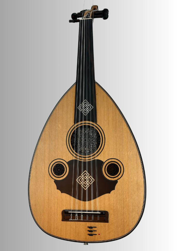 oud Electric